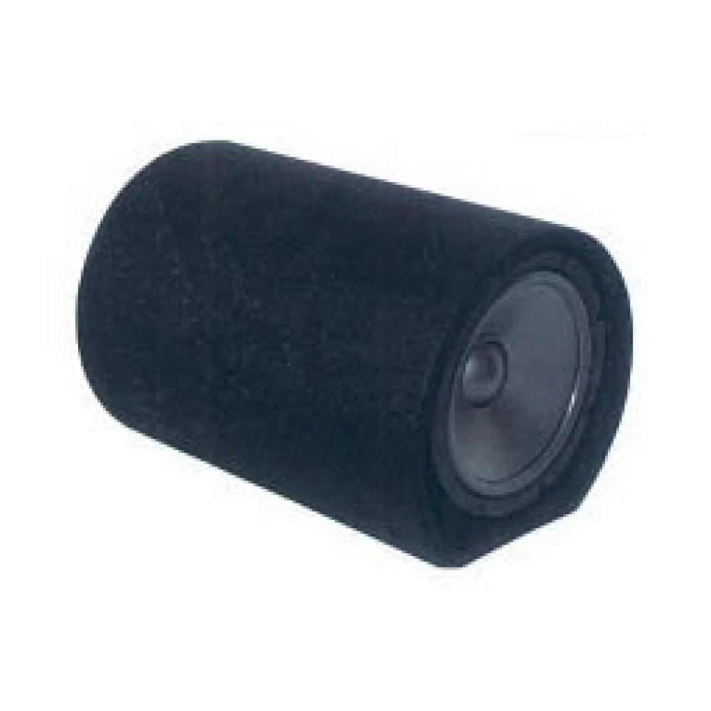 Ενεργό subwoofer αυτoκινήτου  10'' 120W YW1215-10-AVE