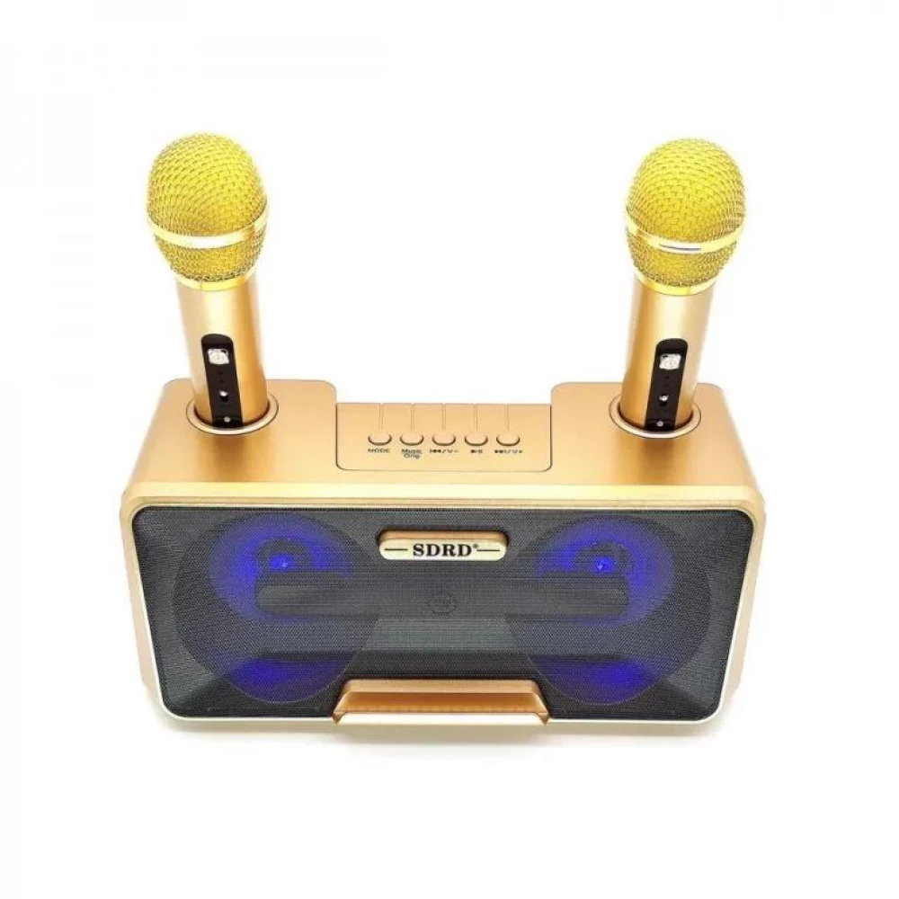 Φορητό Ηχοσύστημα Bluetooth USB/SD Karaoke 20watt Με 2 Μικρόφωνα Mp3 Player SD-301