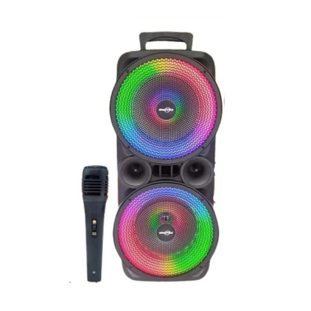 Ασύρματο ηχείο karaoke 2x8'' 300watt bluetooth με μικρόφωνο GTS-1569