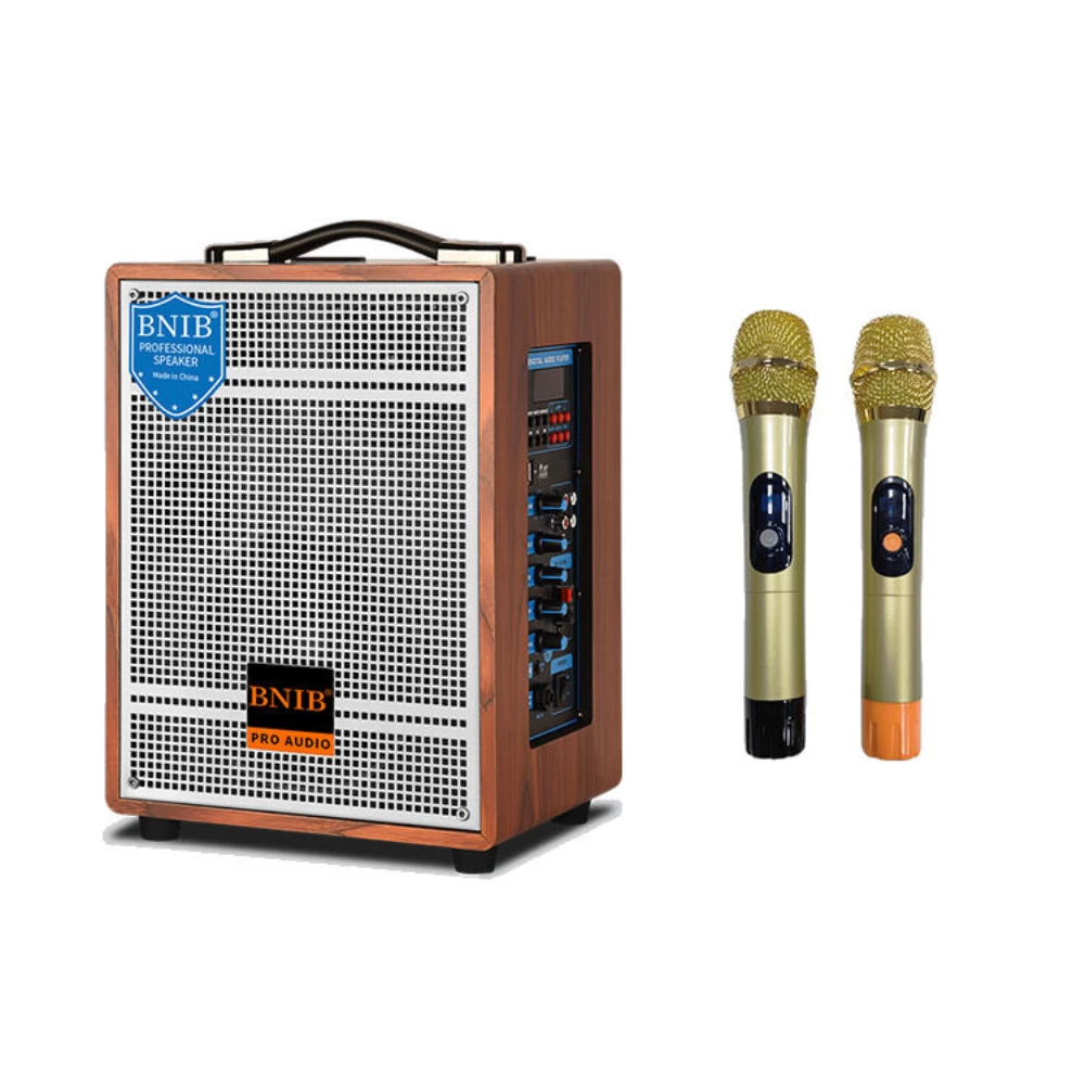 Ηχείο με λειτουργία Karaoke 300watt + BLUETOOTH + 2 ασύρματα μικρόφωνα 6,5''(ιντσών) BT1000 (BT300)