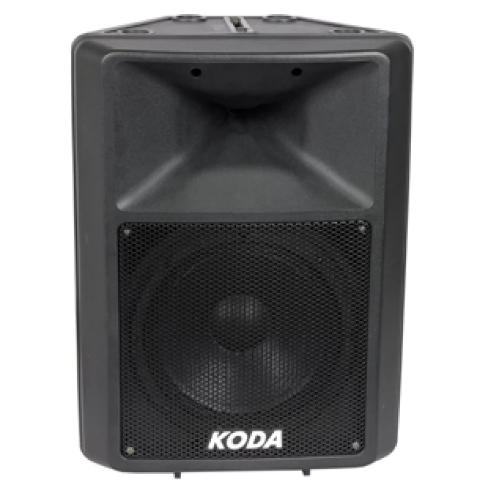 Επαγγελματικό ηχείο 500 Watt 15'' KODA PA-9015