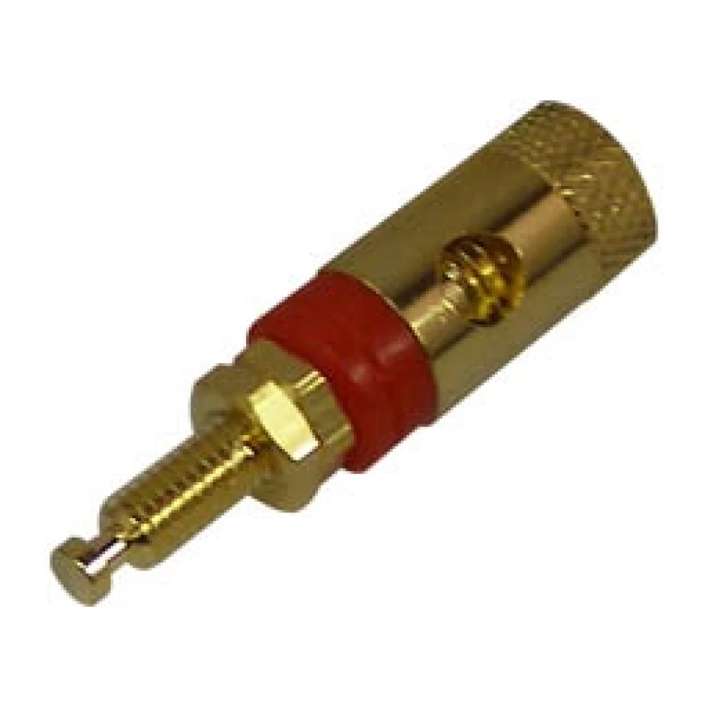 Μπόρνα επίχρυση σασί 20mm BI-362G