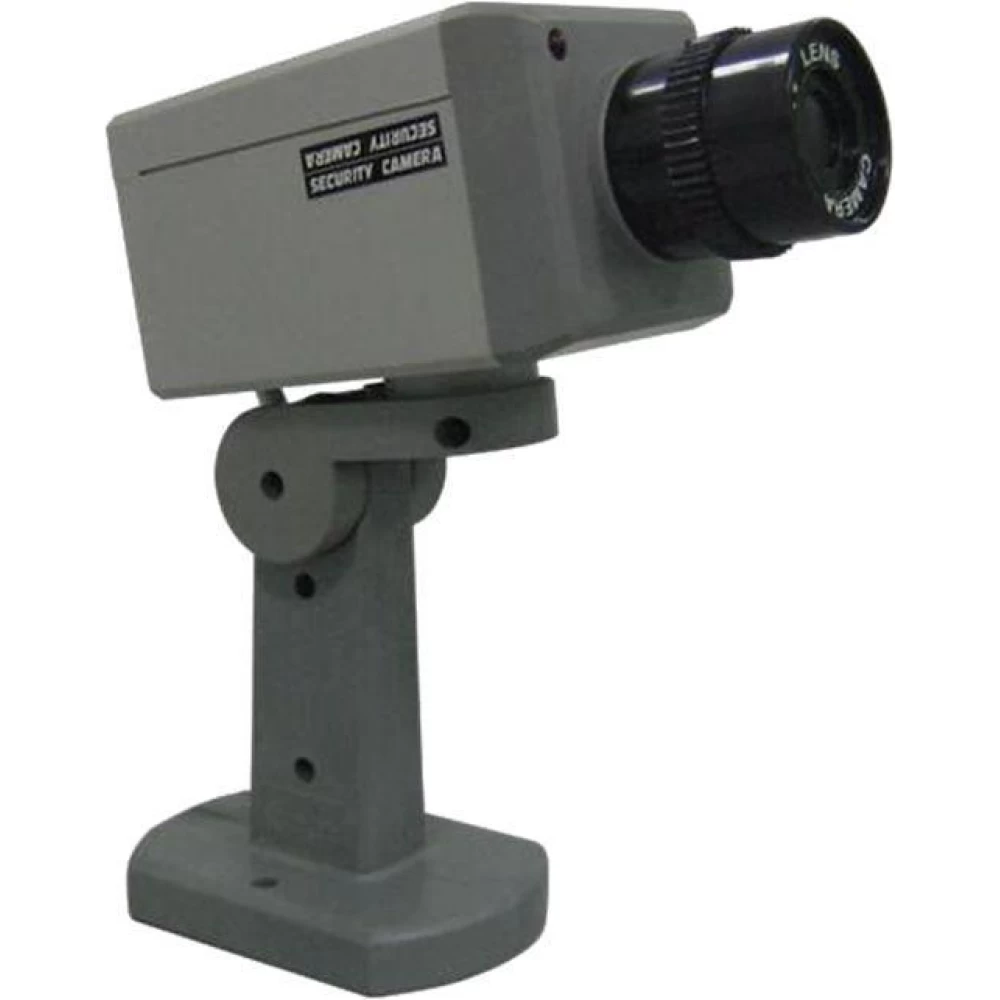 Κάμερα Dummy Realsafe CH-01 (CDM-11)