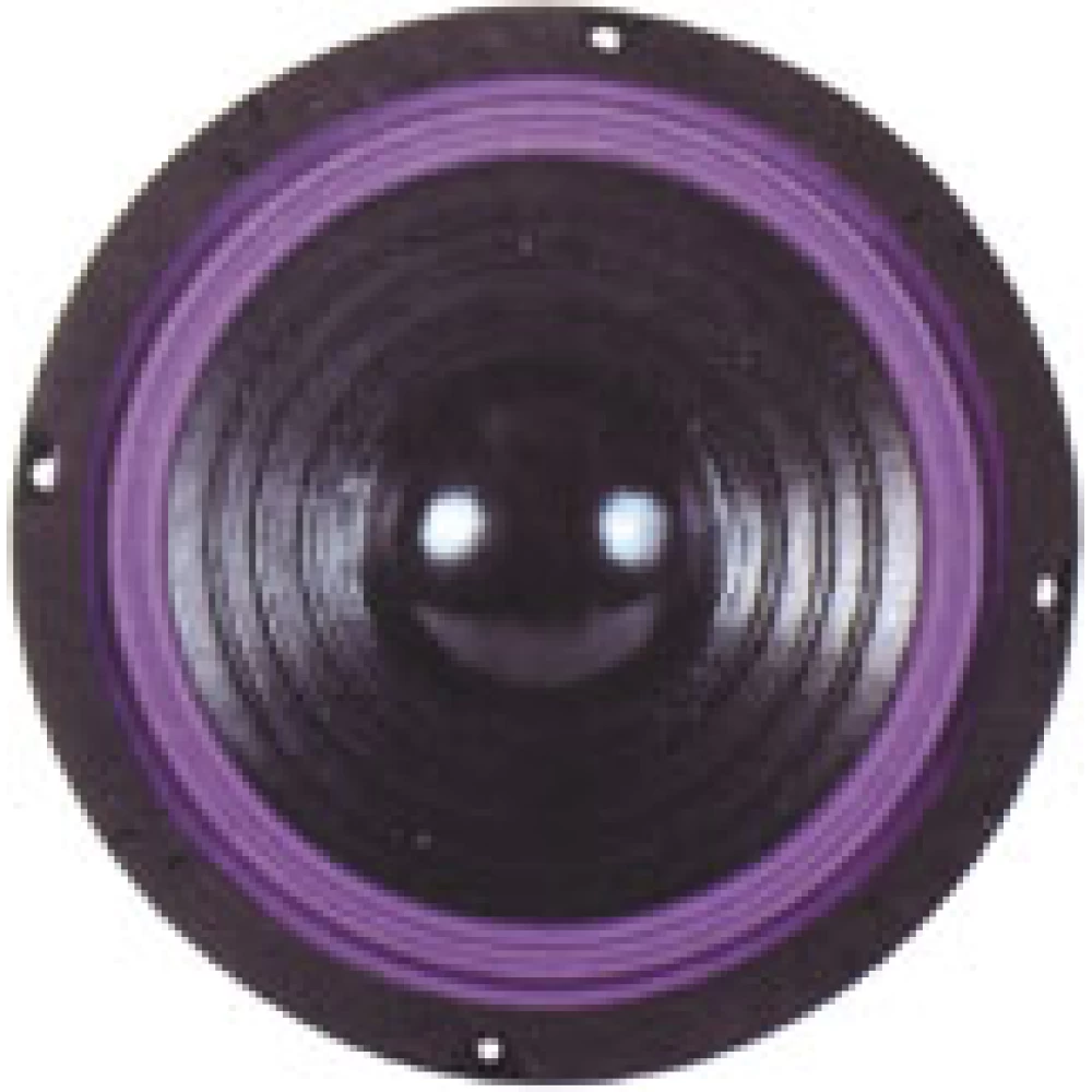 Woofer 10'' Tele  120 Watt  SSW-410
